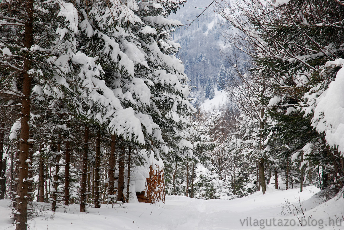 Hótalpas túra a Dürre Wand Alpokban - Világutazó